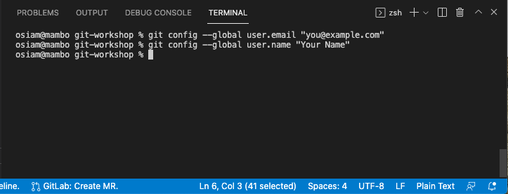execute suggested in terminal MacOS